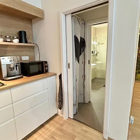 Appartamento V Srdci Písku Písek